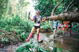 BIB: 
                            <button type="button" onclick="openModal(25516188)" class="btn btn-primary btn-sm float-right btn-popup" data-toggle="modal" data-target=".modal-high-quality">
                        <i class="fas fa-shopping-cart"></i> Add to Cart
                    </button>
                                            <button type="button" onclick="isThisMe(25516188, true)" class="btn btn-success btn-sm float-right btn-popup btn-isme hidden" data-toggle="tooltip" data-placement="bottom" title="นี่คือรูปของคุณใช่ไหม คลิกที่นี่เพื่อเอาเข้าอัลบั้ม">
                        <i class="fas fa-plus"></i> Add to album
                    </button>
                    <button type="button" onclick="isThisMe(25516188, false)" class="btn btn-warning btn-sm float-right btn-popup btn-isnotme hidden">
                        <i class="fas fa-ban"></i> Remove from album
                    </button>